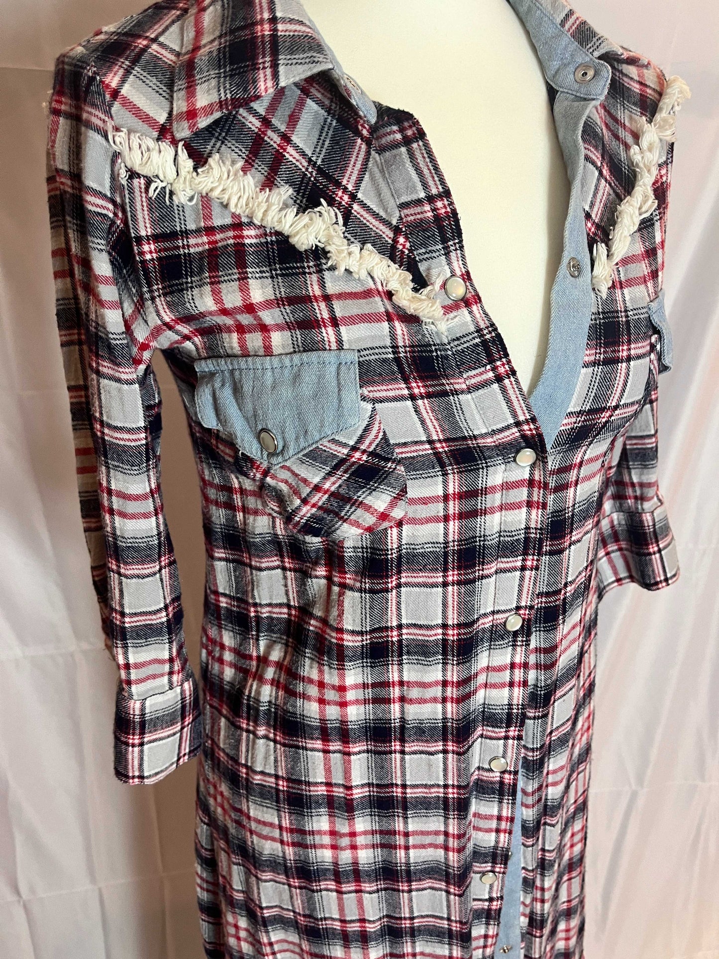 Free's Mart Plaid Button Up Dress