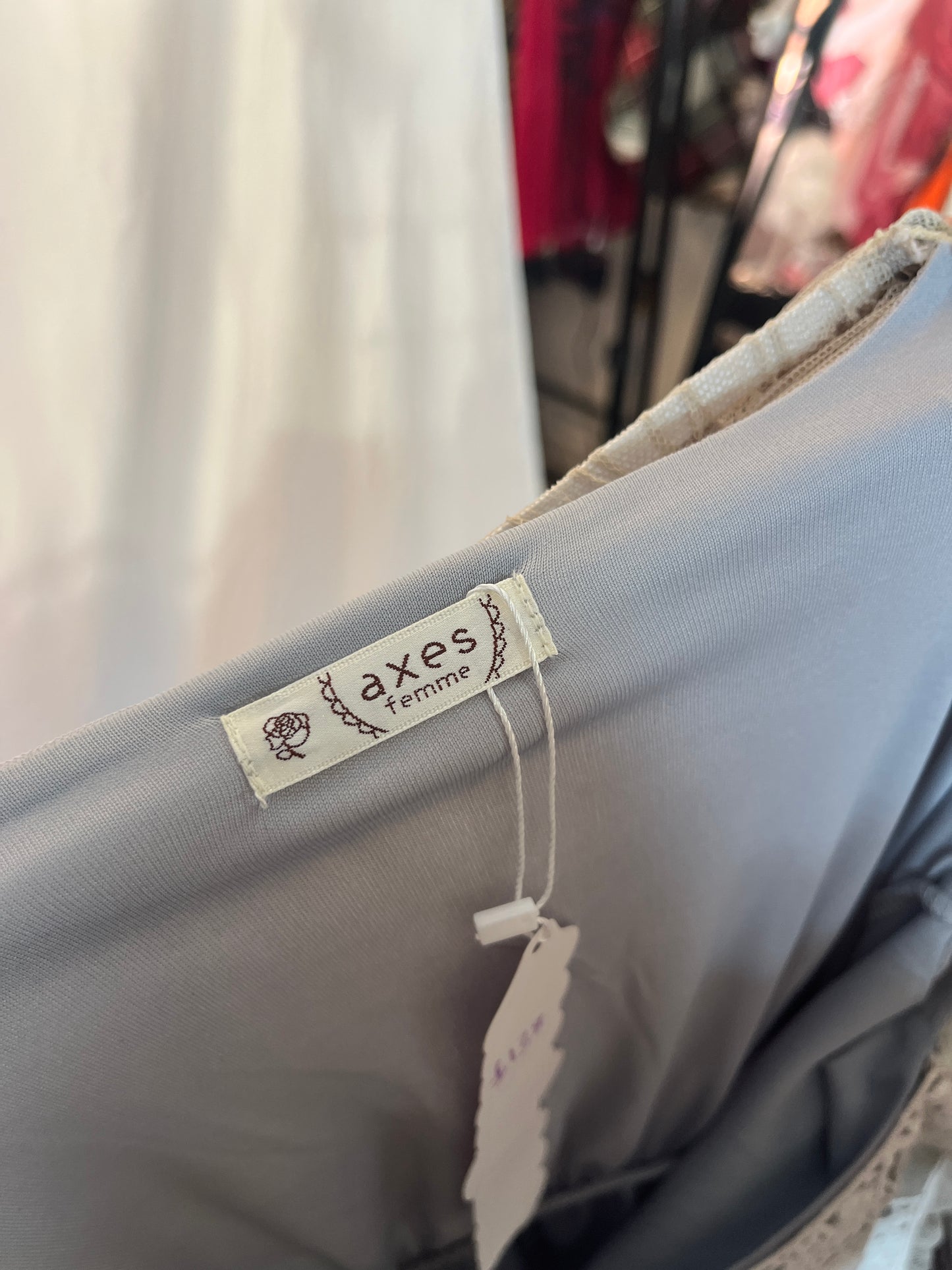 Axes Femme Gray Mesh Dress